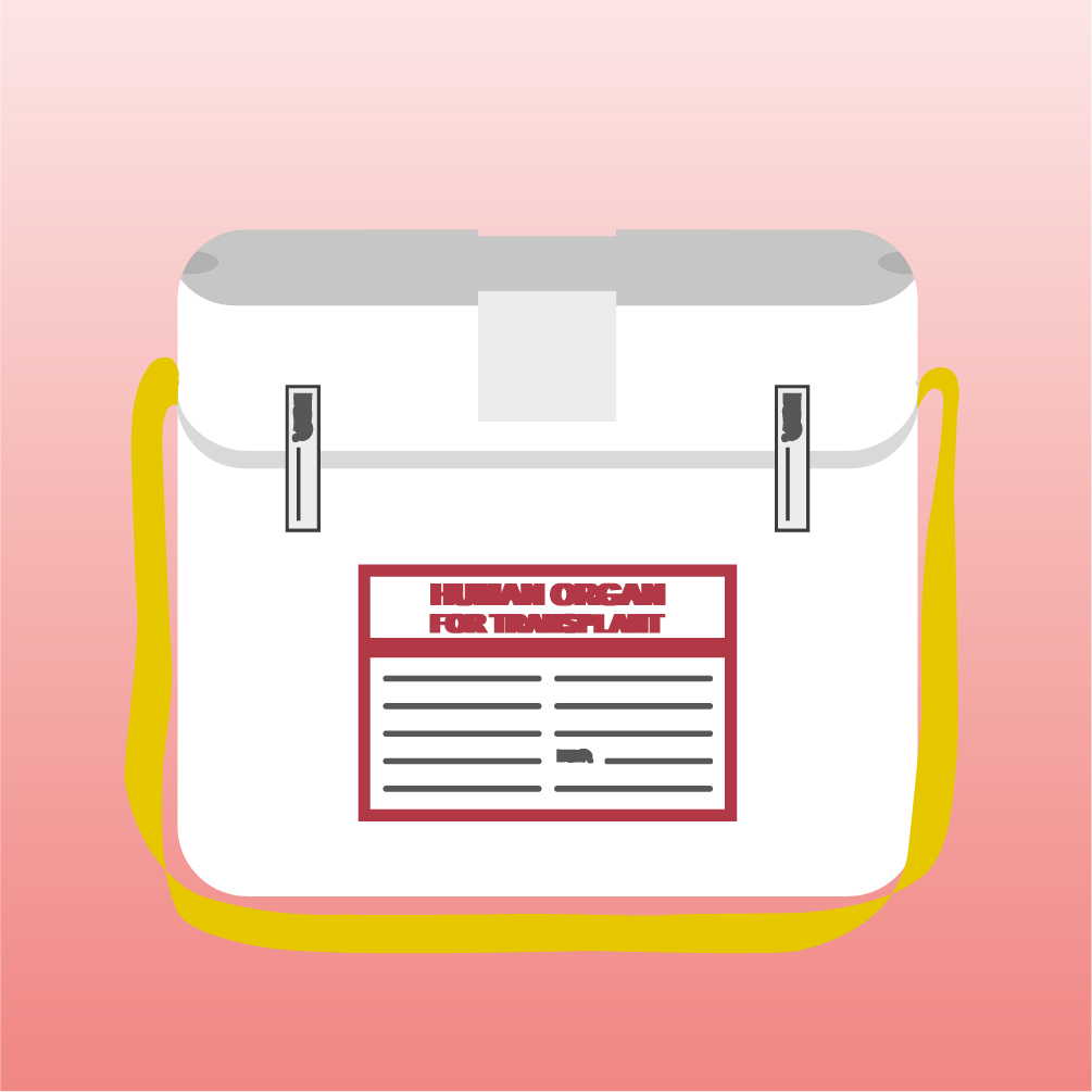 Transplantationsbeauftragte/r Ärztin/Arzt - Modul 2